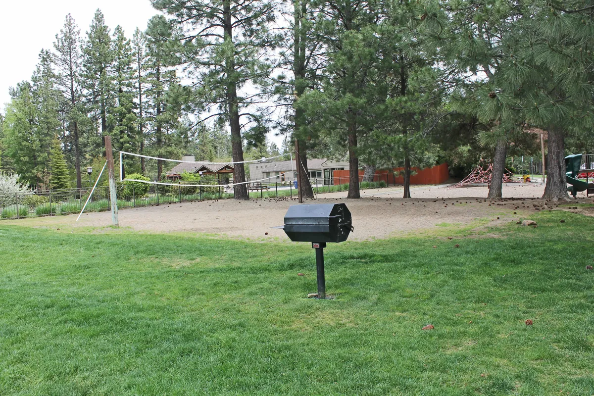 An inviting outdoor volleyball court surrounded by lush trees, with a grill and open grass area providing space for picnics and recreational play. The scene encourages active group participation and casual gatherings.