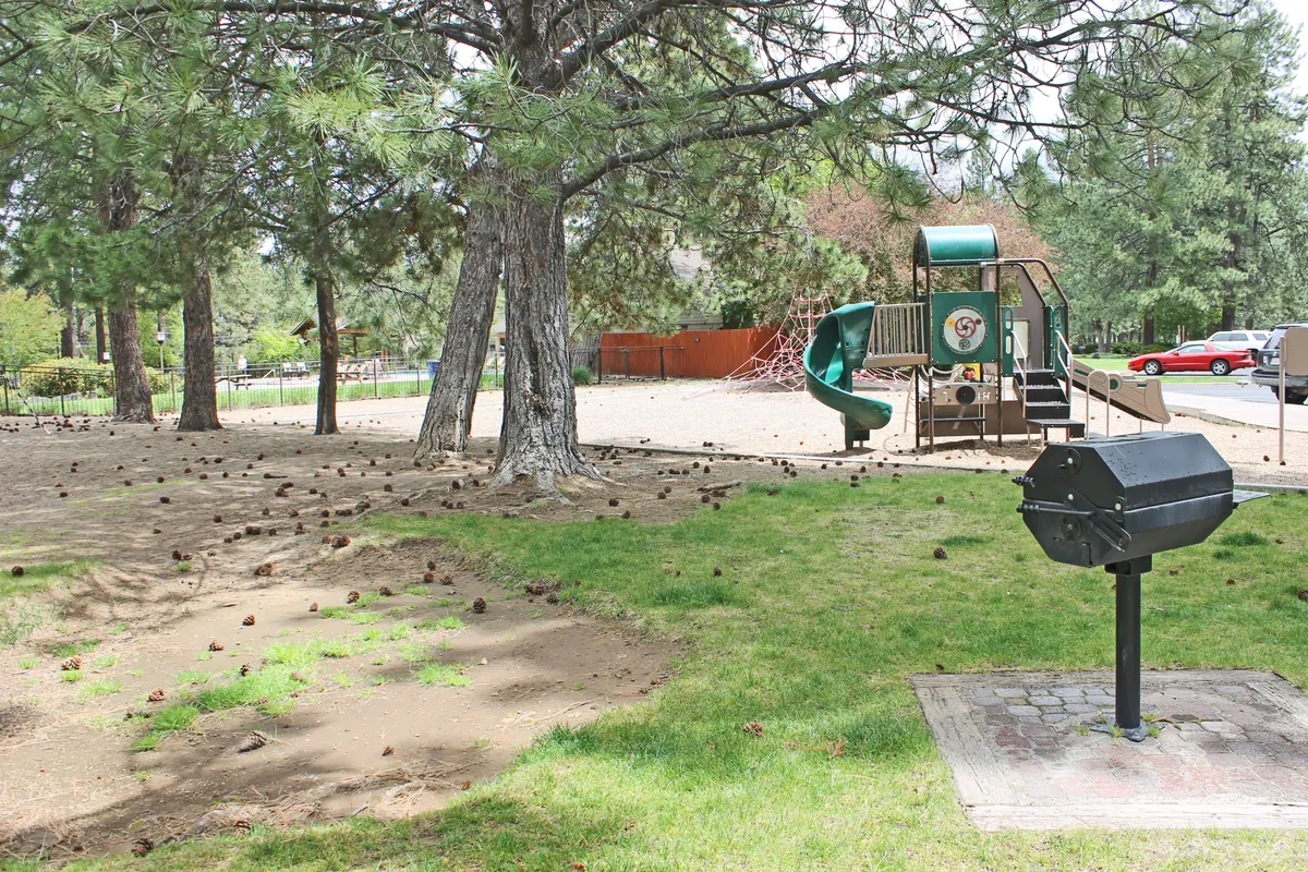 A vibrant playground area set beneath large shade trees, featuring colorful playground equipment and a nearby grill. The scene is alive with children playing and families gathering for picnics, creating a lively, joyful atmosphere.
